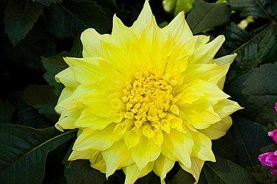 “这是对审查制度的反击” 被Steam下架的恐怖游戏免费发布